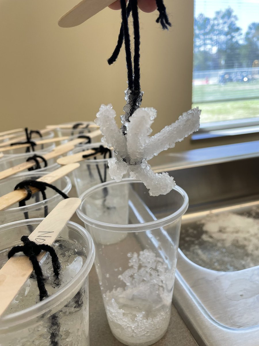 mrs_shinn's tweet image. Today in Kindergarten, we grew crystal on pipe cleaners shaped like snowflakes. We also made sensory play snow and snow much more. #SnowLab #FuelUpForLearning #FrenchRacers @FrenchKISD @KleinISD @KleinISDscience