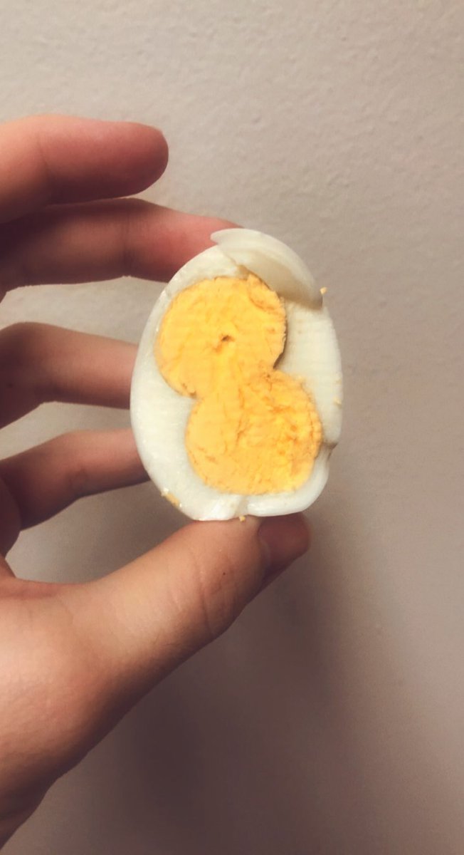 patrickdiehl's tweet photo. Egg Twitter where are you at? https://t.co/8TqMBTzjoT