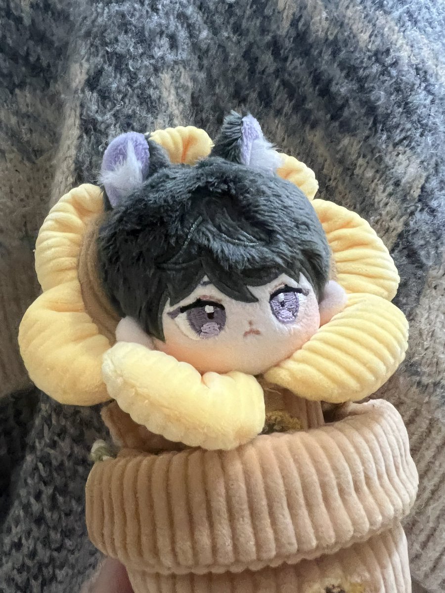 seal_saki_ball_'s tweet photo. My precious baby😍😍😍😍
Soooo tiny 

#cottondoll #棉花娃 https://t.co/fWwnOWYeRq