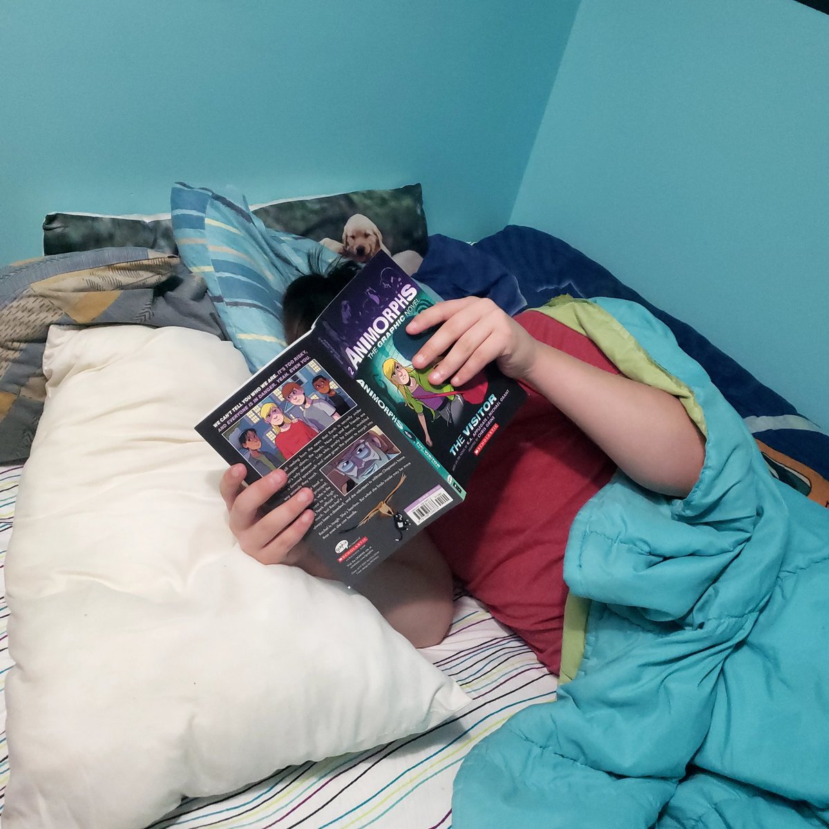 Caught Riley reading before bed tonight! <a href="/TruedellPS_LDSB/">Truedell PS</a>