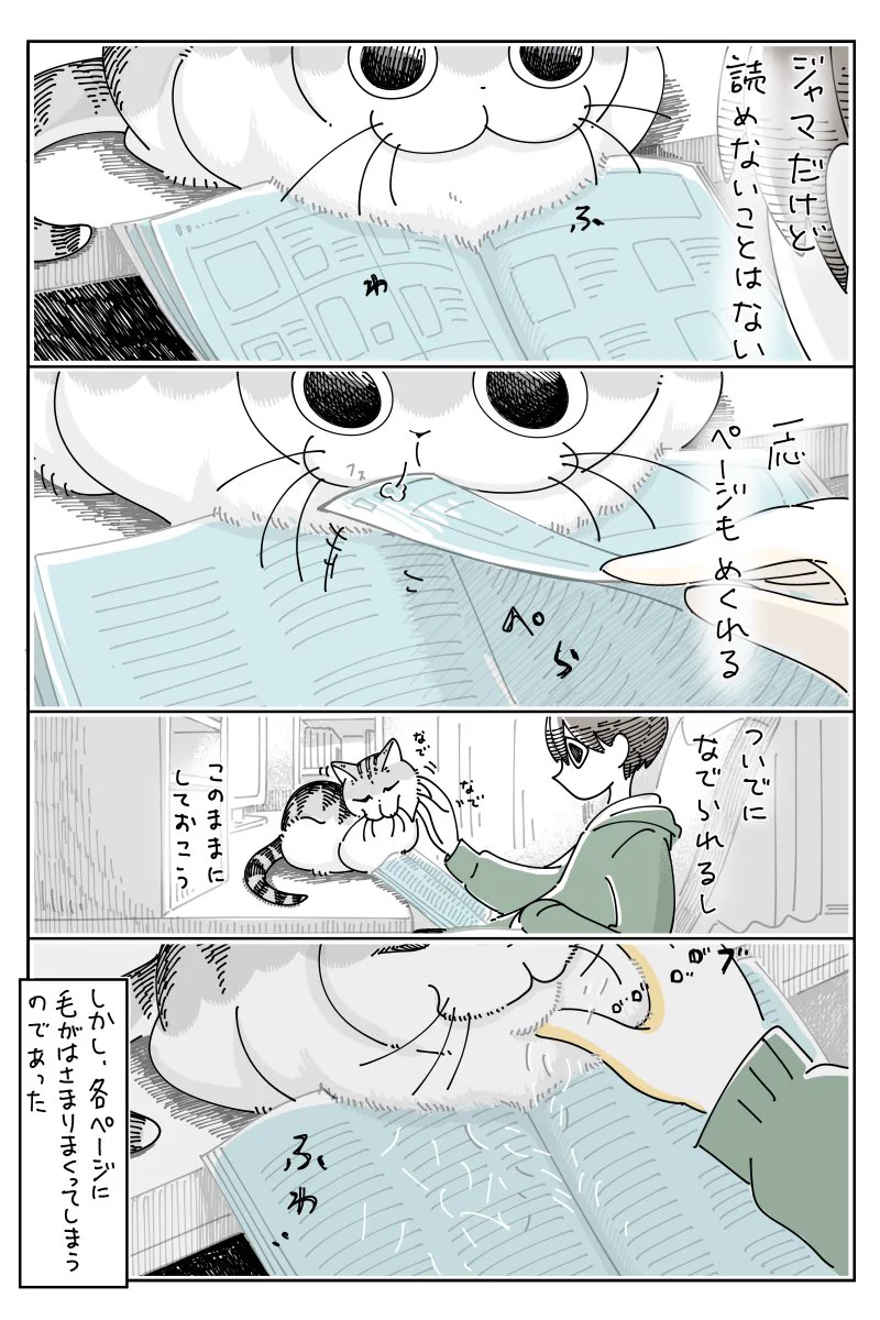ネコ飼いさんあるある？可愛いオジャマはそのまま放置してしまう…