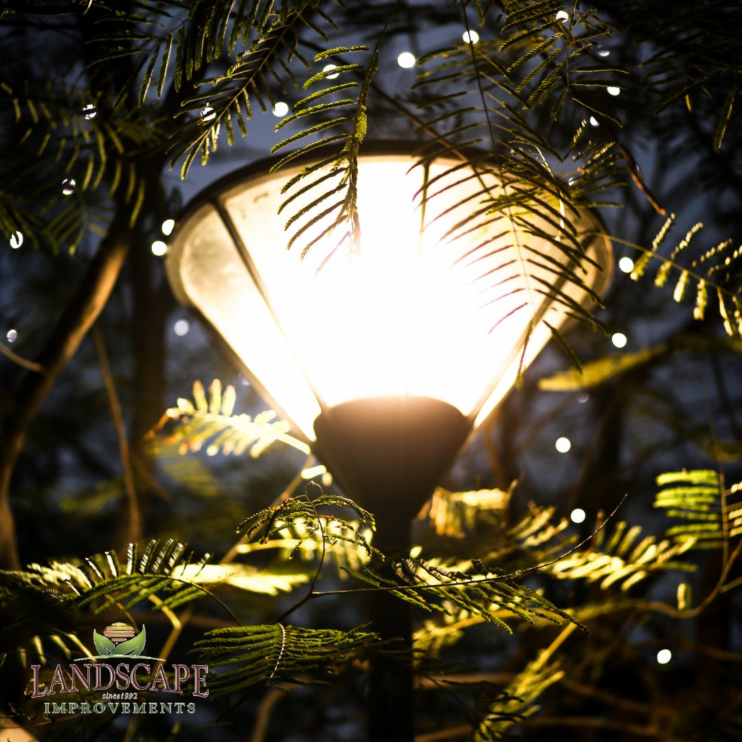 landscapeimprov's tweet photo. Transform your outdoor scenery by illuminating it with landscape lighting! Experience the magic of your landscape space!

Let our team bring out the best of your landscape at night! Request a quote now at 407-606-7326 or email us at info@landscapeimprove.com https://t.co/gYtcfGtMar