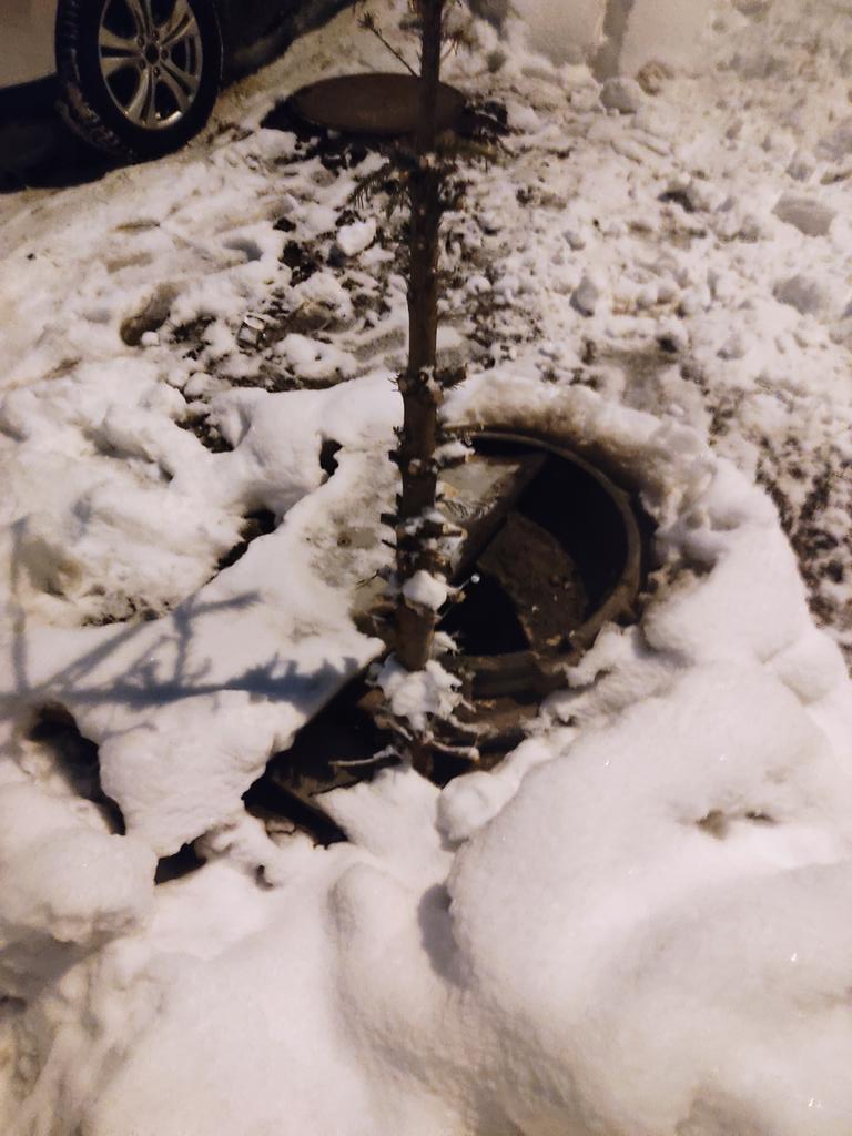 Сергей tweet media