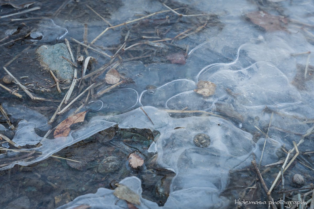 Hi_DesignFocus's tweet image. ときたまひみつきち
COMORIVER（コモリバ）

朝は氷点下だったので川が氷ってました
緑豊かな夏場も景色良さそうです

#ときたまひみつきち 
#COMORIVER 
#コモリバ 
#ソロキャン 
#キャンプ