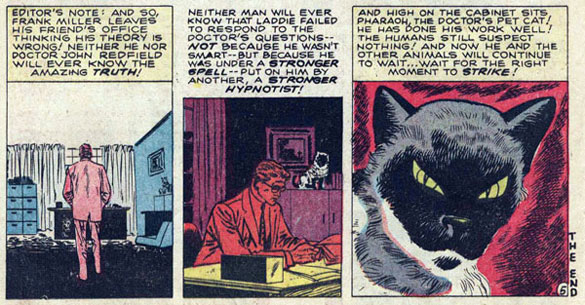awardtour's tweet photo. #catsincomics https://t.co/QHnxIuJNwM https://t.co/0szeKzhaz2