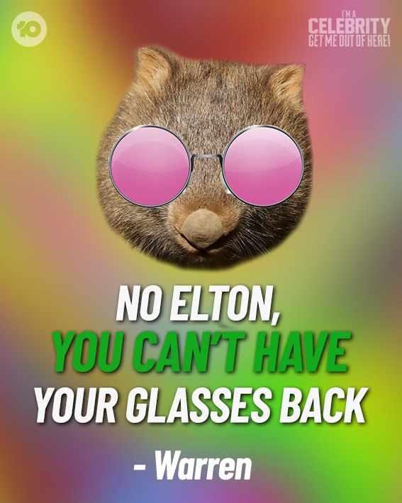 WinfiniteWombat's tweet photo. I went from the Emu Wars to the Crocodile Rock - Warren #ImACelebrityAU https://t.co/z7OrwZTRrP