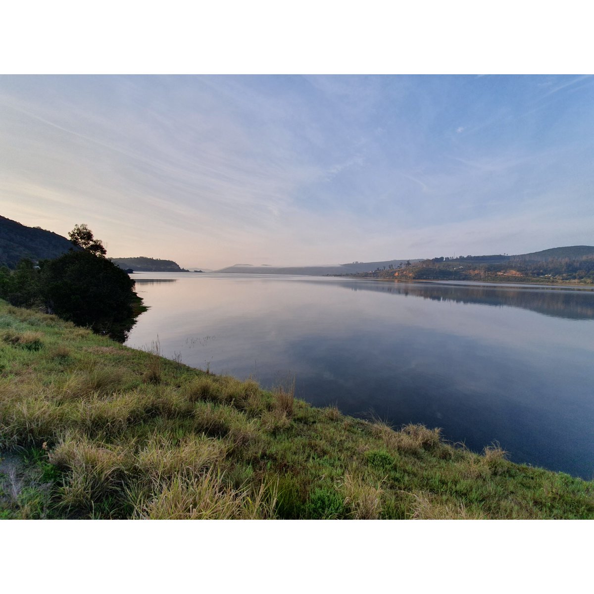 single-track tweet media