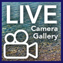 L_H_A_T's tweet image. Bogart &amp;amp; Bacall on the Big Screen at Tibbits Opera House (Coldwater, MI) #TibbitsOperaHouse #historictheatres #historictheaters #historicoperahouses buff.ly/35h5a60