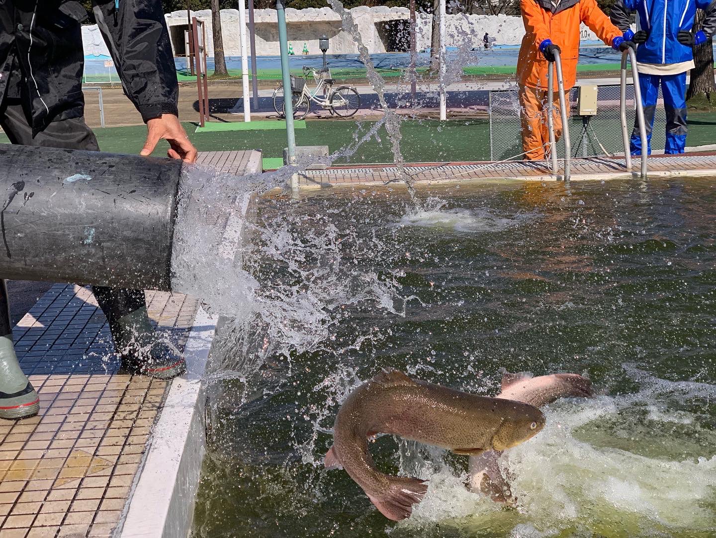 加須はなさき公園 加須はなさき水上公園 公式 Kzhpark Twitter