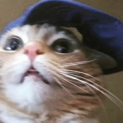 MrSmudger_'s tweet photo. #NewProfilePic https://t.co/kObkigwQit