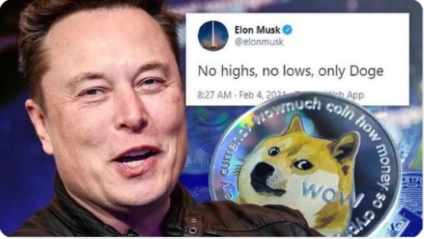 dogeQUAN tweet media
