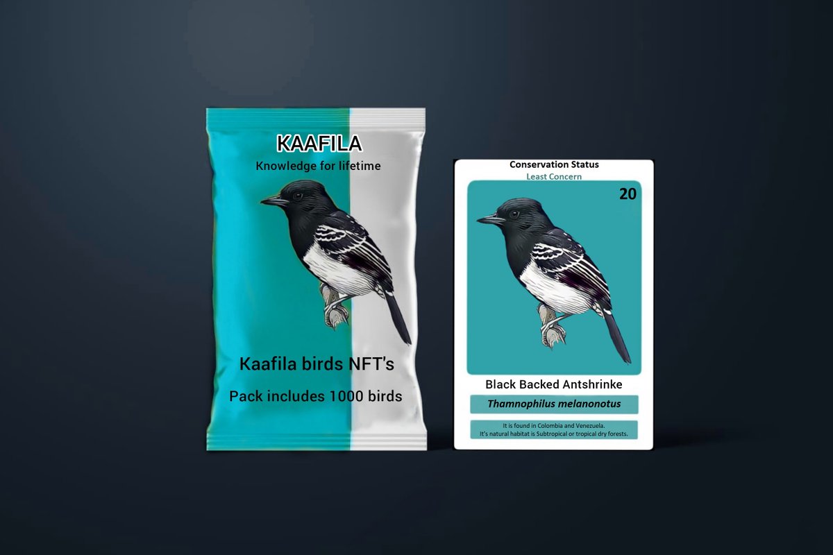 Kaafila2020's tweet photo. #AlgoNFT  "Kaafila Avian World" Only 1000 People can own the complete 1000 Birds, at the lowest possible cost. Purely Informative and Educational. Only possible on #algorand Buy Here: https://t.co/OHMkDtO0Cy https://t.co/twmn9Wjfaq