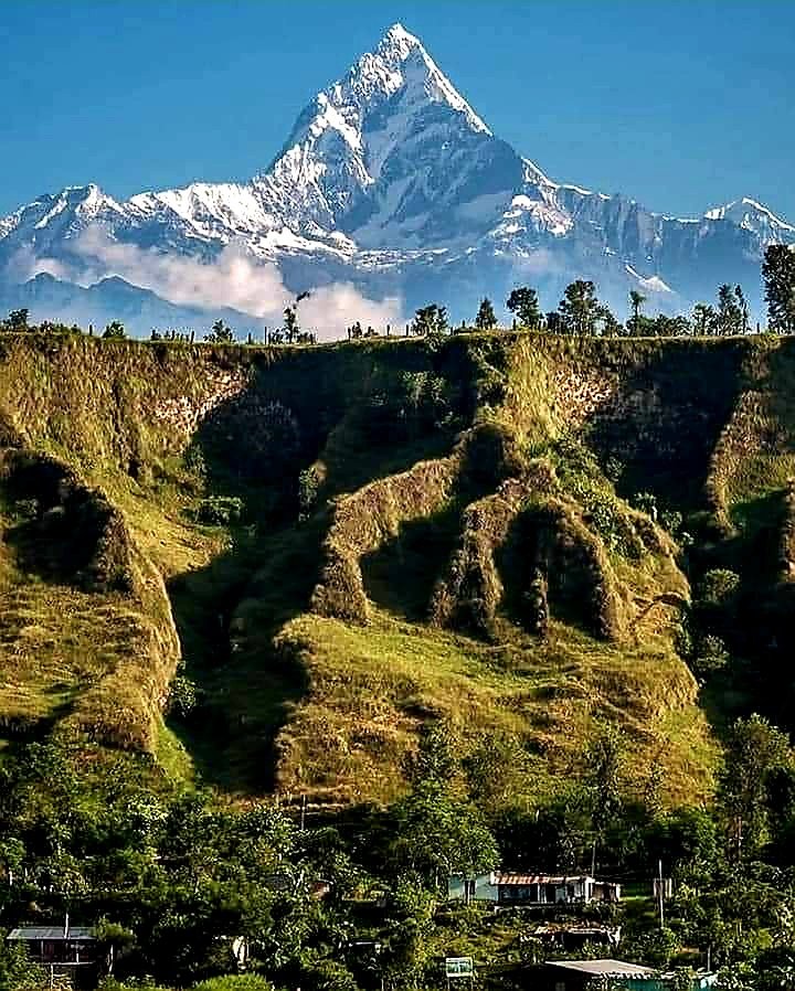 Dr1raj's tweet photo. “I am the Himalayas among the non-moveable.” ~ Lord Krishna
#Enticing #MtFishtail #MachhapuchhreHimal #GoodmorningFriday https://t.co/t77WB6q8W6