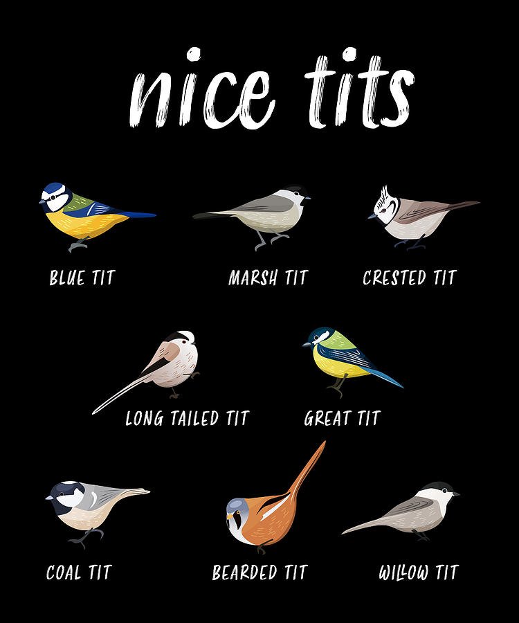 _Silvervale_'s tweet photo. I love tits. 😊 https://t.co/mHb8tj8M8B