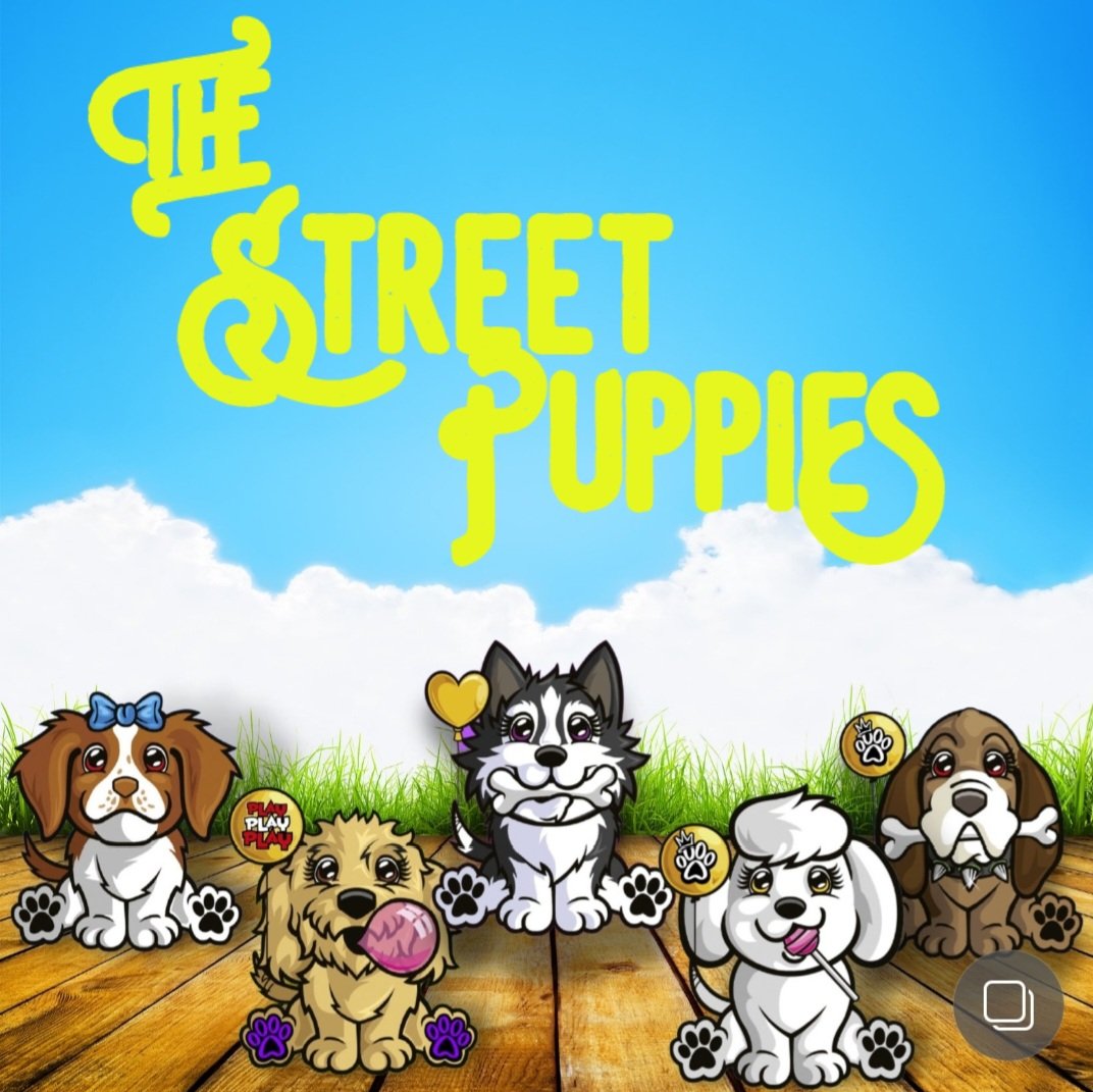 𝕾𝖙𝖗𝖊𝖊𝖙 𝕯𝖆𝖜𝖌𝖘 tweet media