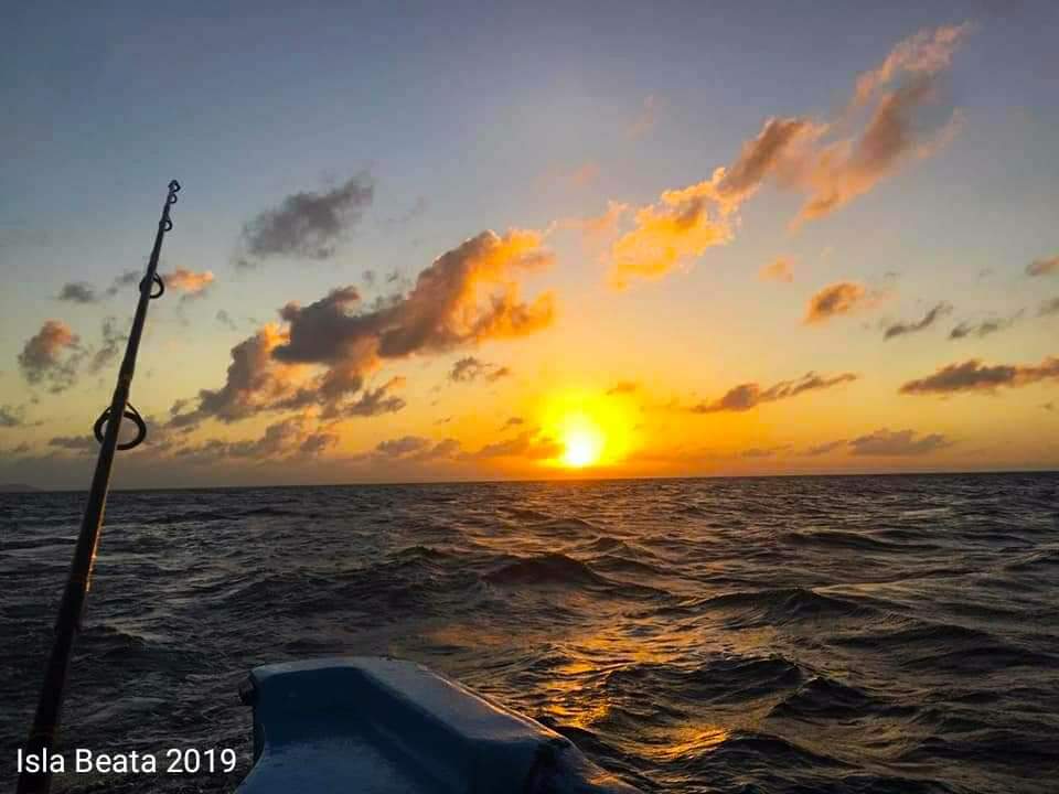 HI3K__'s tweet photo. República Dominicana ♥️ Fotos del Sur isla Beata #Beataisland #surprofundo #sur #RepublicaDominicana #outdoor #naturaleza #airepuro #fccp #islabeata https://t.co/t92amdactr