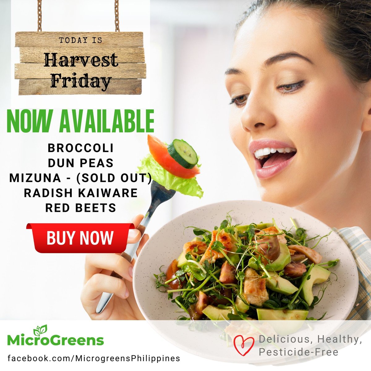 MicroGreensPH's tweet photo. 🌱🌱🌱 TODAY IS HARVEST FRIDAY! 🌱🌱🌱
 
GET YOUR FRESH-HARVEST GREENS BEFORE IT RUNS OUT
🥗 Broccoli
🥗 Dun Peas
🥗 Mizuna - (SOLD OUT)
🥗 Radish Kaiware
🥗 Red Beets
NOW AVAILABLE!
👉 Message us to Order!
 
🥗 Delicious, Healthy, Pesticide-Free
https://t.co/YLGpovv68t https://t.co/oDL3nFChbX