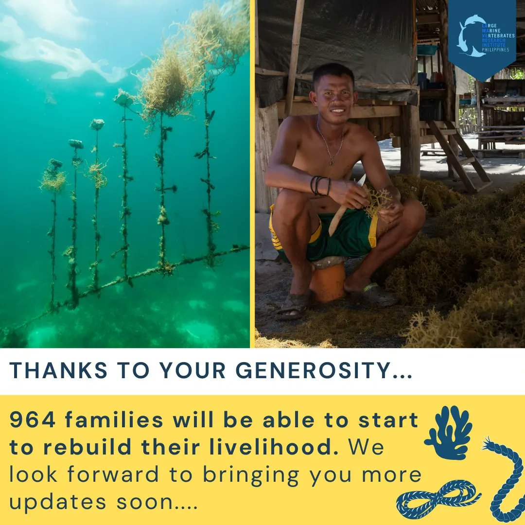 lamaveresearch tweet media