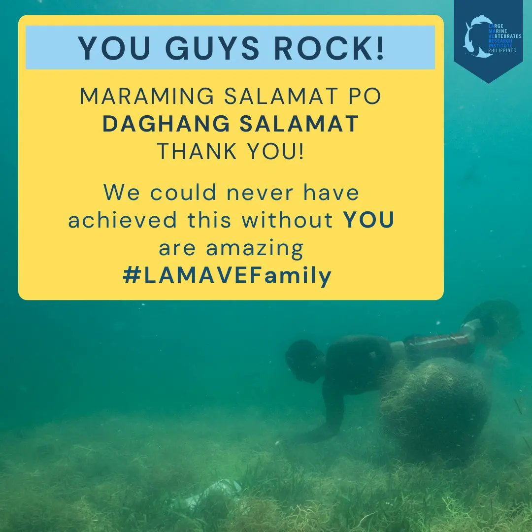 lamaveresearch tweet media