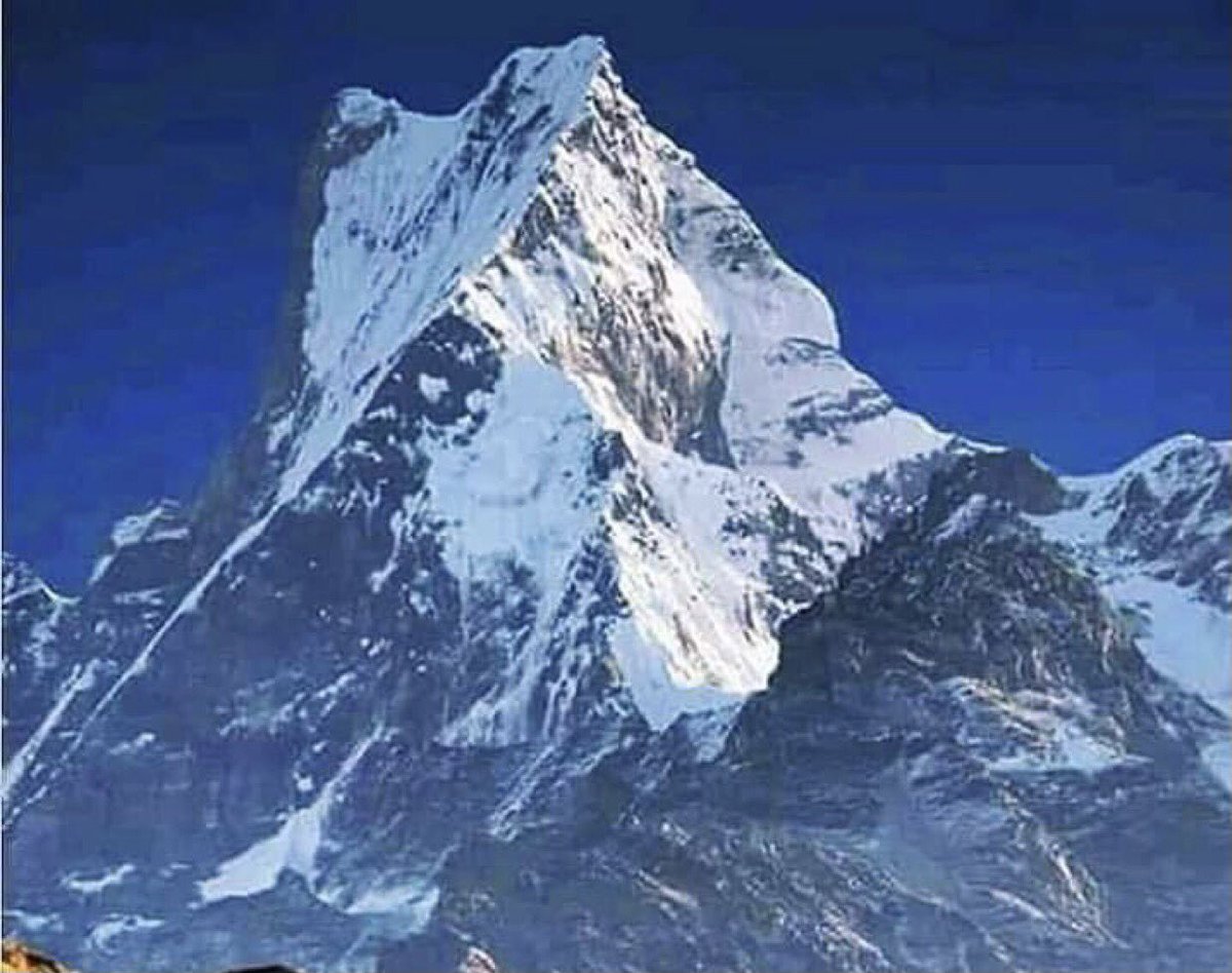 HimalayanGuide4 tweet picture