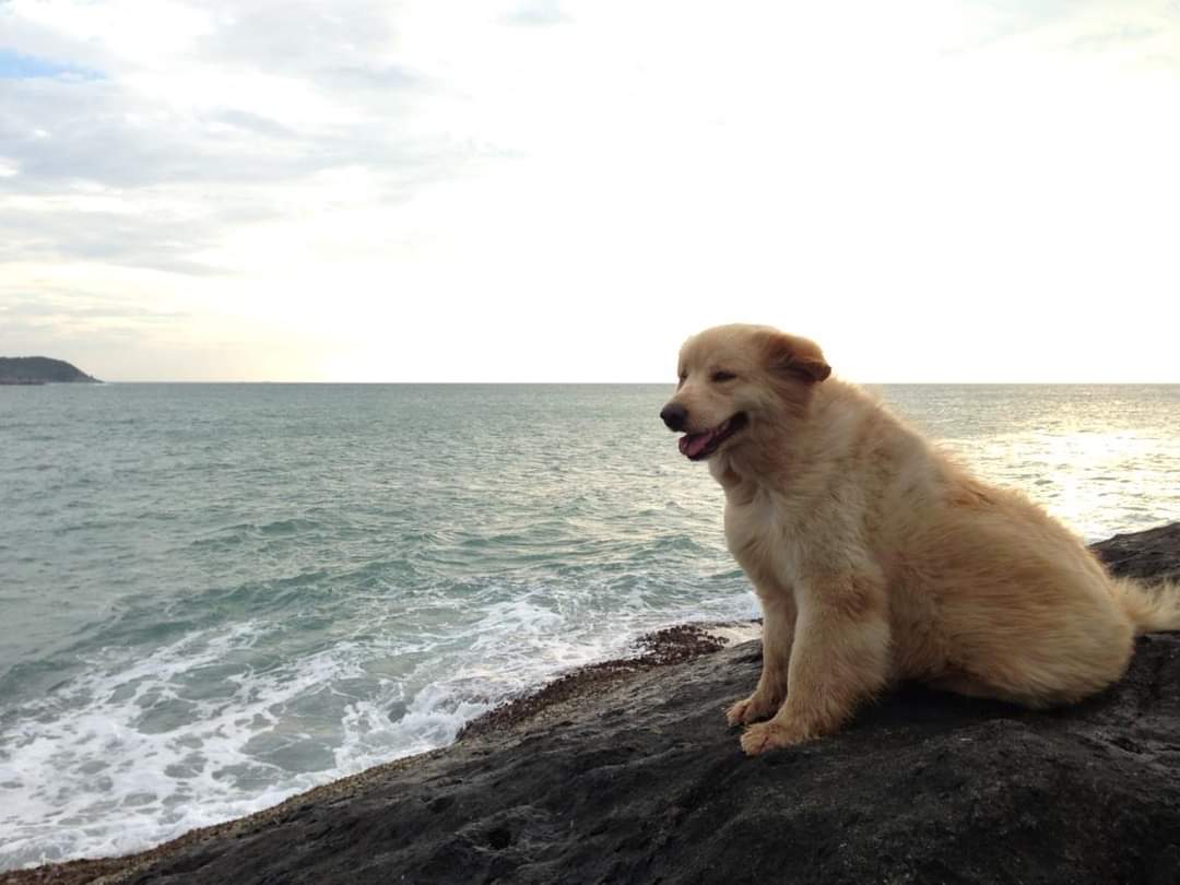 chalongrat289's tweet photo. @treecoin2 #BabyDoge  
@babydoge @binance @treecoin2 https://t.co/HBkwk1qDsp