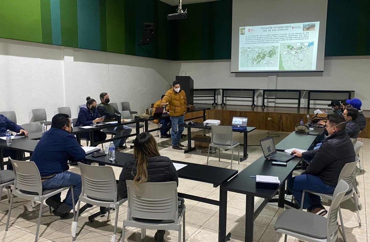 UCENuevoLeon's tweet photo. En Sesión de Comisión de Sanidad e Inocuidad Agropecuaria (COSIA), #SENASICA, #SADER, #SEDRA, #CESAVENL Y #CEFOSAMP, analizamos los Cierres Operativos y alcance de objetivos de los Programas Fitozoosanitarios operados por esas Instancias Ejecutoreas en NL. https://t.co/5iyM18DdP6