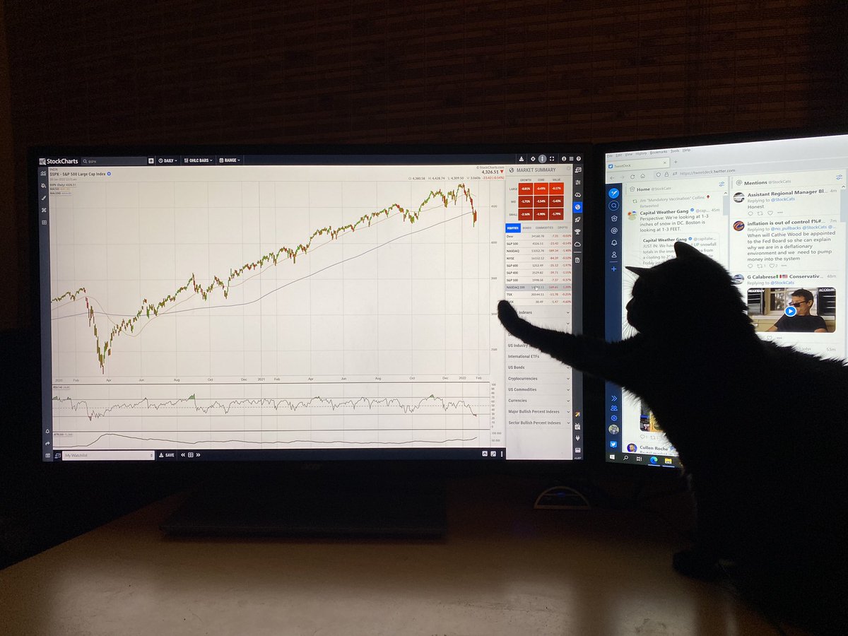 StockCats_2009's tweet photo. show me where you think it’s going 

here https://t.co/5BpqoGa6CH