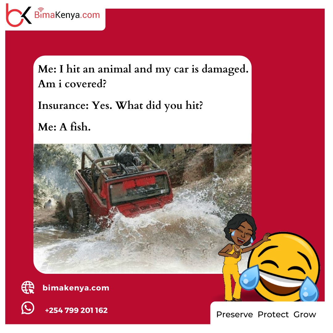 bima_kenya's tweet photo. Get your comprehensive motor cover today. 
>>> https://t.co/cImhOSdZwK 

#bimakenya #insurance #newyear2022 #friday #friday #weekend #comprehensive https://t.co/vOzymTZvhH