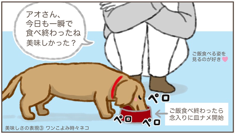 さやはるまる Tomomisaito1 悪魔顔 そんなアオさん想像できない まるは完食した後に ご飯が消えました と訴えにきますよー Twitter