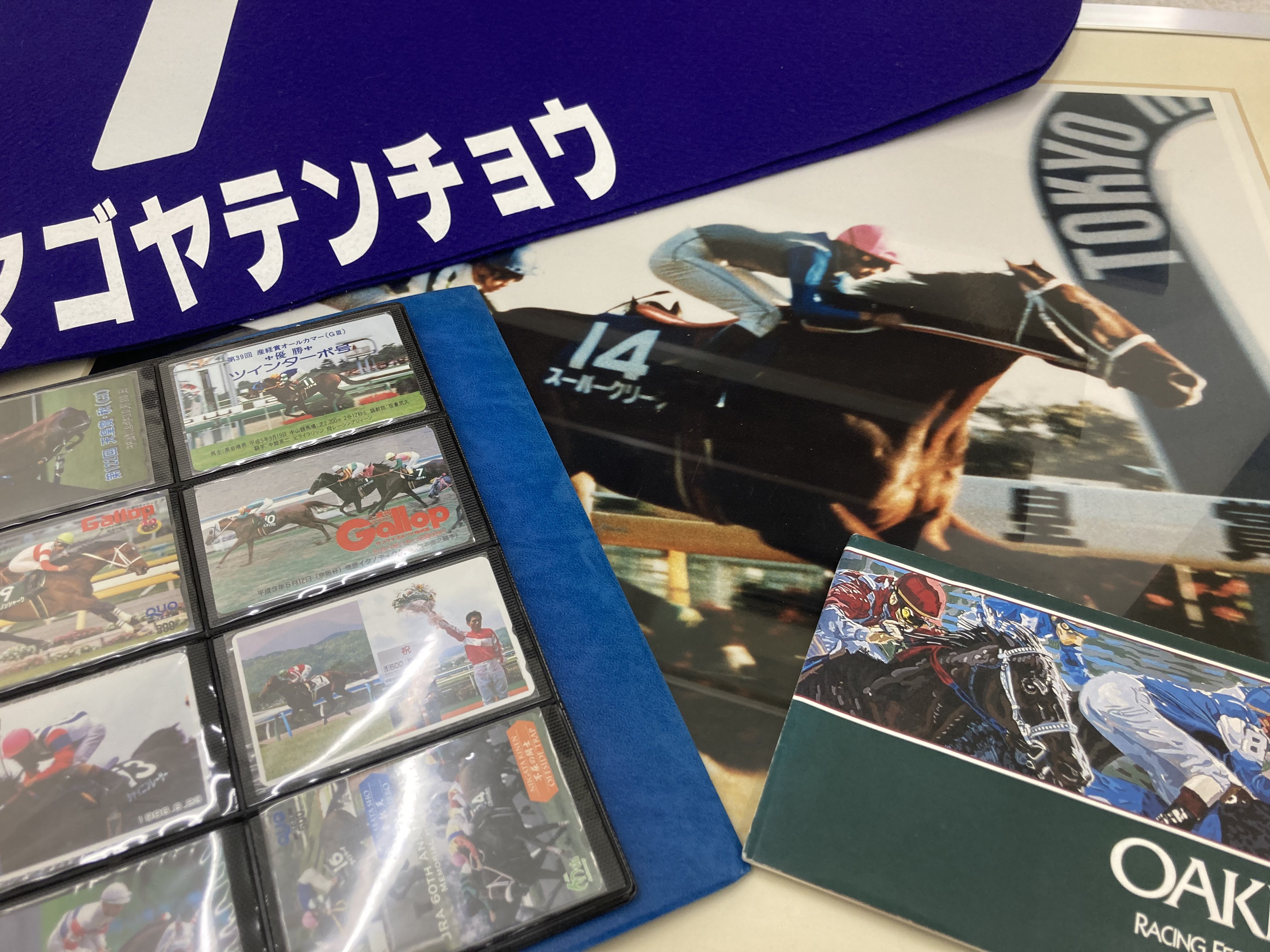 サラブレ特別編集 全部見せます中央競馬2004 全G1 DVD付き