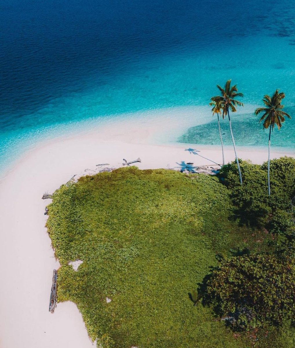 Spongebob Island 🏝️

📍Manimbora, Berau, Kaltim