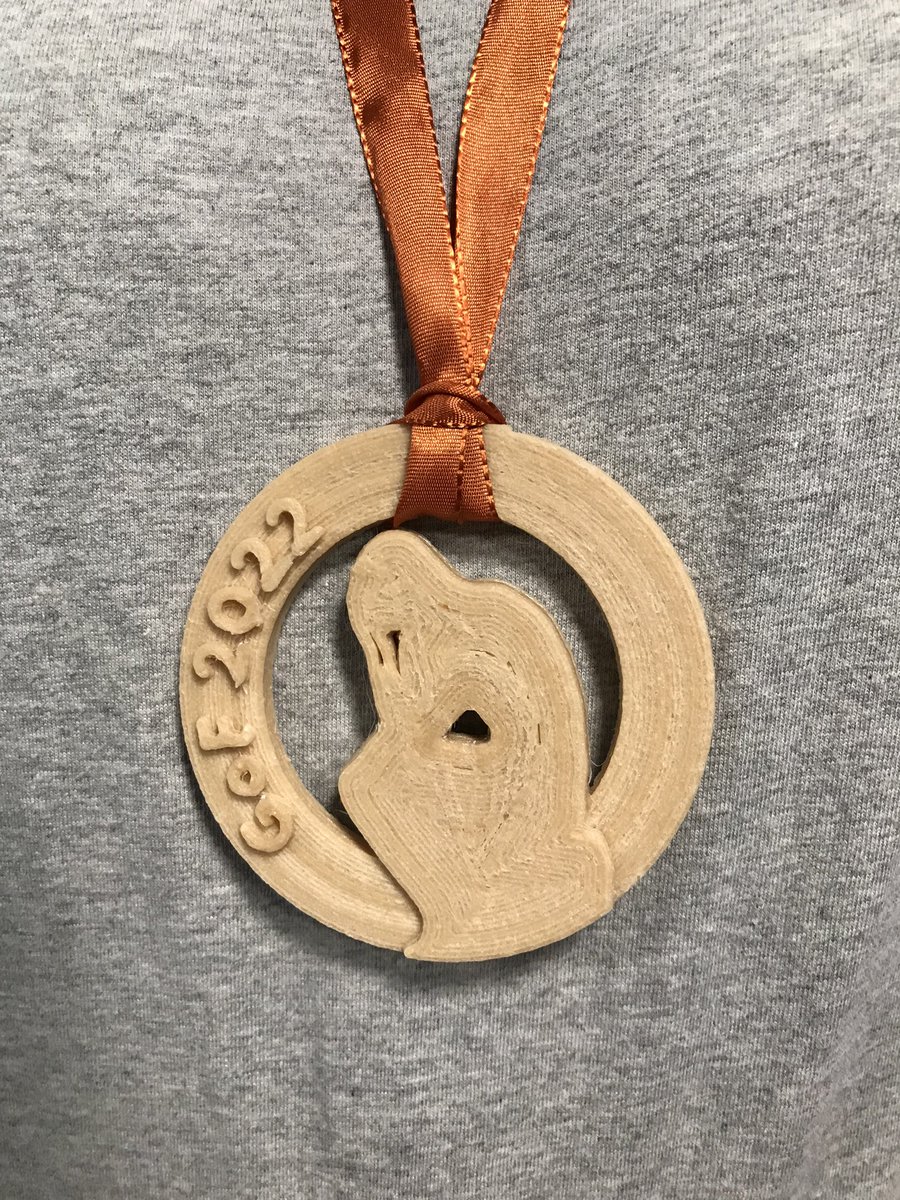 HeliKangas's tweet photo. Sharing failures in the @VTTFinland Gala of Failures yesterday. For me, there was also a non-failure: this medal, printed from cellulose-based material developed in the @novum_project https://t.co/REXGLwhtnJ