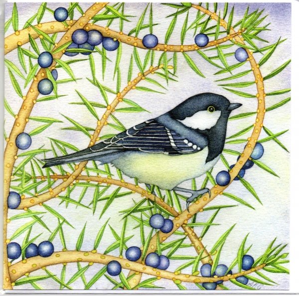HattyBoots's tweet photo. Happy @Natures_Voice #BigGardenBirdwatch!!! Have you seen one of these little fellas in your #garden? Just beautiful!!
"Coal Tit" is a #greetingscard from an original painting by #KateGreen.
#HattyBoots #coaltit #birds #gardenbirds #nature #wildlife
https://t.co/v62rkvsXoq https://t.co/GUlHrZvaMW