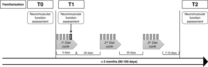 EJAP_official's tweet photo. A 5-day Fasting-Mimicking-Diet decreased body mass but did not affect neuromuscular function and muscle volume in healthy young adults. @UniVerona #fasting #neuromuscularperformance #muscleforce https://t.co/h0zfNASH7X https://t.co/9YylkhvPMB