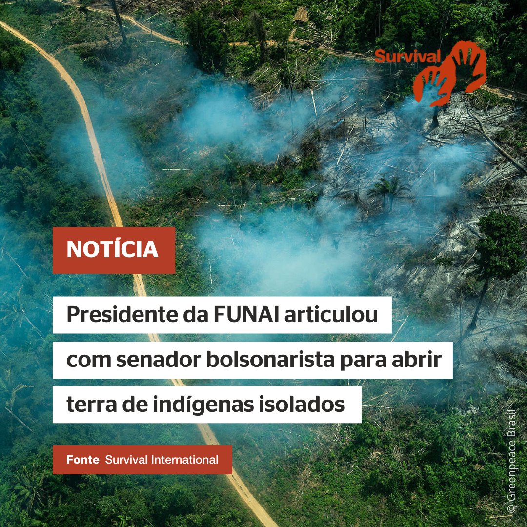 SurvivalBrasil's tweet photo. ‼️ Foi revelado um esquema criminoso envolvendo funcionários do alto escalão da FUNAI para abrir a TI Ituna Itatá (PA) à exploração comercial e negar evidências da existência de indígenas isolados nesse território. ‼️

🔍Saiba mais: https://t.co/vmRAAzoe7V https://t.co/8zwnHD3IRv