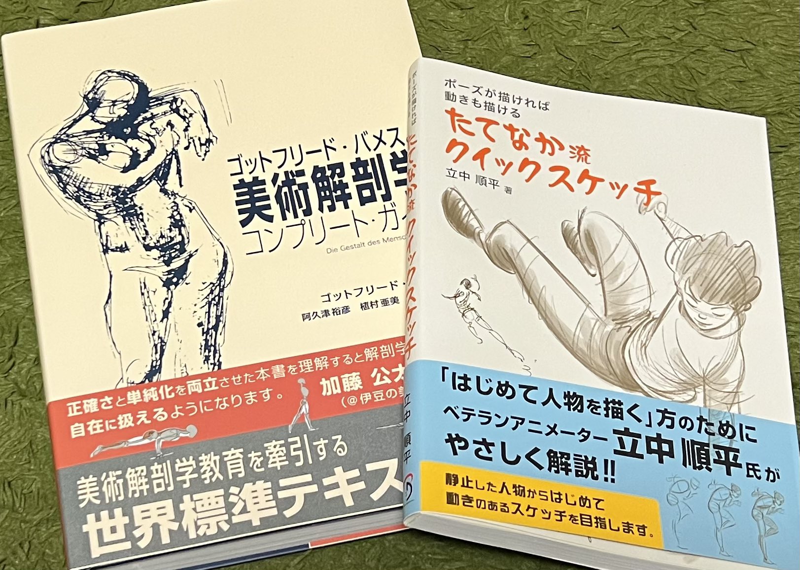ゴットフリード・バメスの美術解剖学コンプリートガイド/ゴット