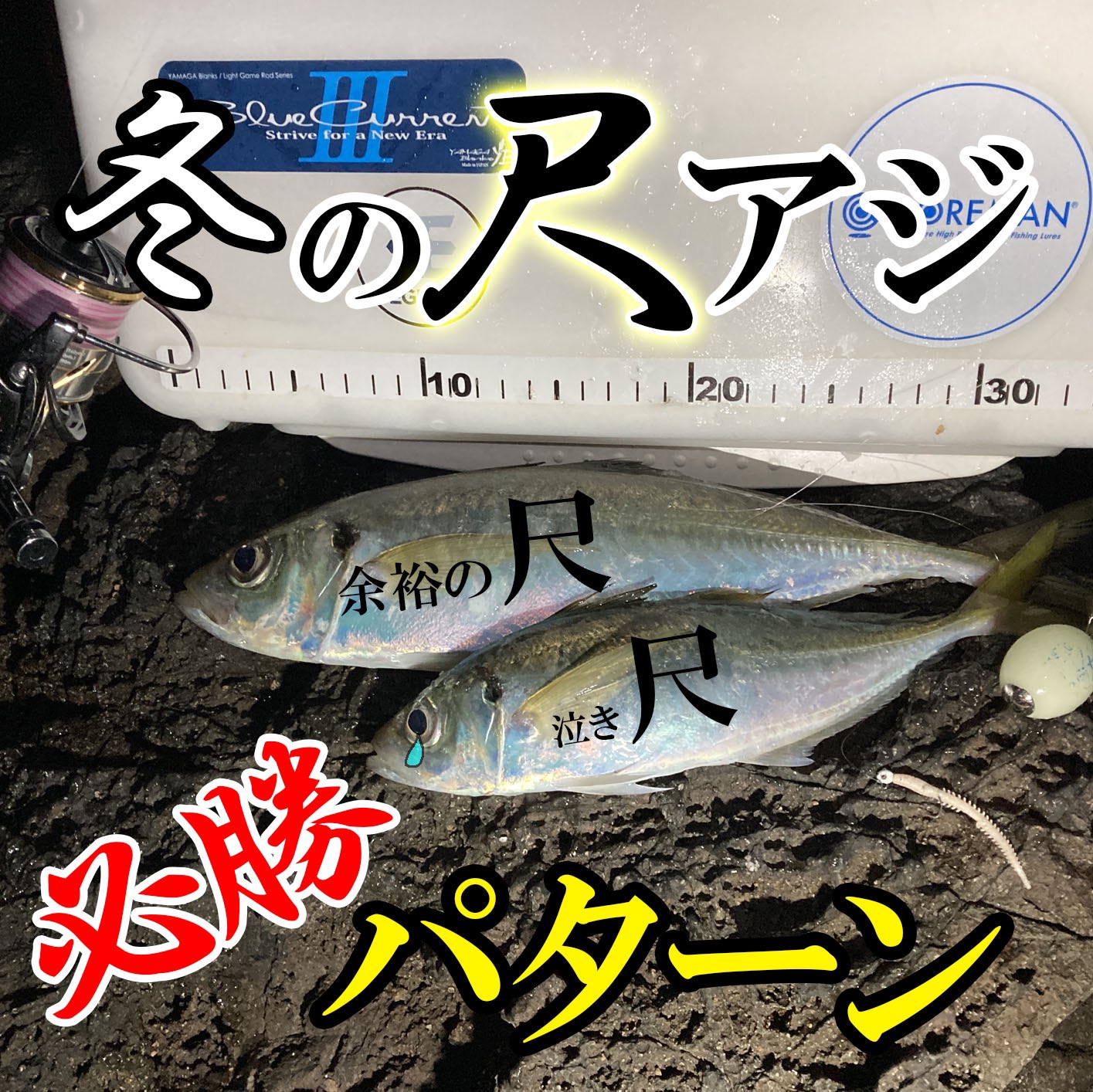 山陰釣り天国 アジング動画公開しました 本当は教えたくない 山陰の冬アジング必勝パターン 山陰の地磯からフロートアジングで尺アジを狙います 次回ギガアジ予告 T Co M9x6iqgr6n T Co Ggfnwqixcs Twitter