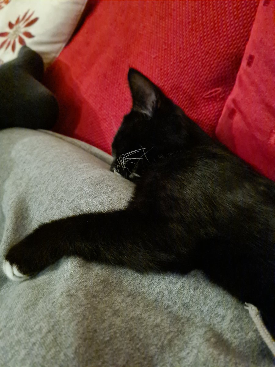 ethan bailey tweet media