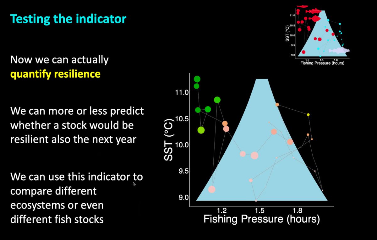 IMF Hamburg (@imfhamburg) on Twitter photo Our seminar series continues this week with <a href="/CamillaSguotti/">CamillaSguotti</a> speaking about 'approaches to understand the resilience of marine resources.'
Thanks Camilla! Our seminar series continues this week with <a href="/CamillaSguotti/">CamillaSguotti</a> speaking about 'approaches to understand the resilience of marine resources.'
Thanks Camilla!