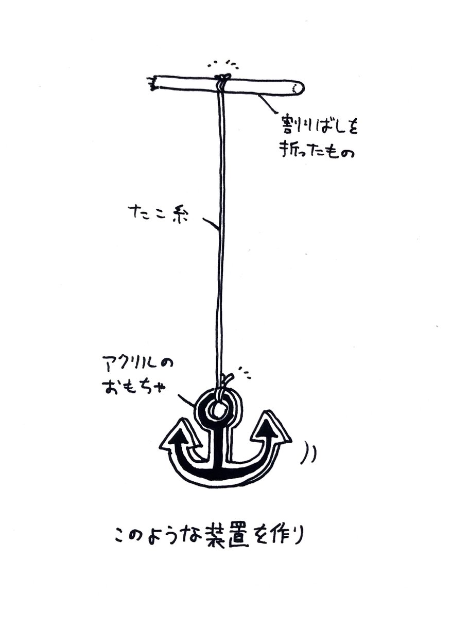 づほむしの生態レポート56 #づほむし 