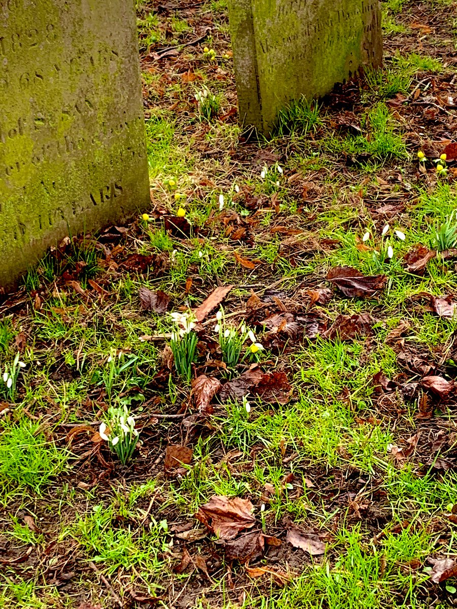It might be cold but the first signs of spring are coming!