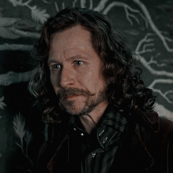 Актер сыгравший сириуса блэка. Сириус блэк актер гарри олдман. Гари олдман сириус блэк. Актер сыгравший сириуса блэка. Гари олдман гарри поттер сириус.