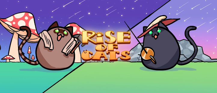 CateCoin tweet media