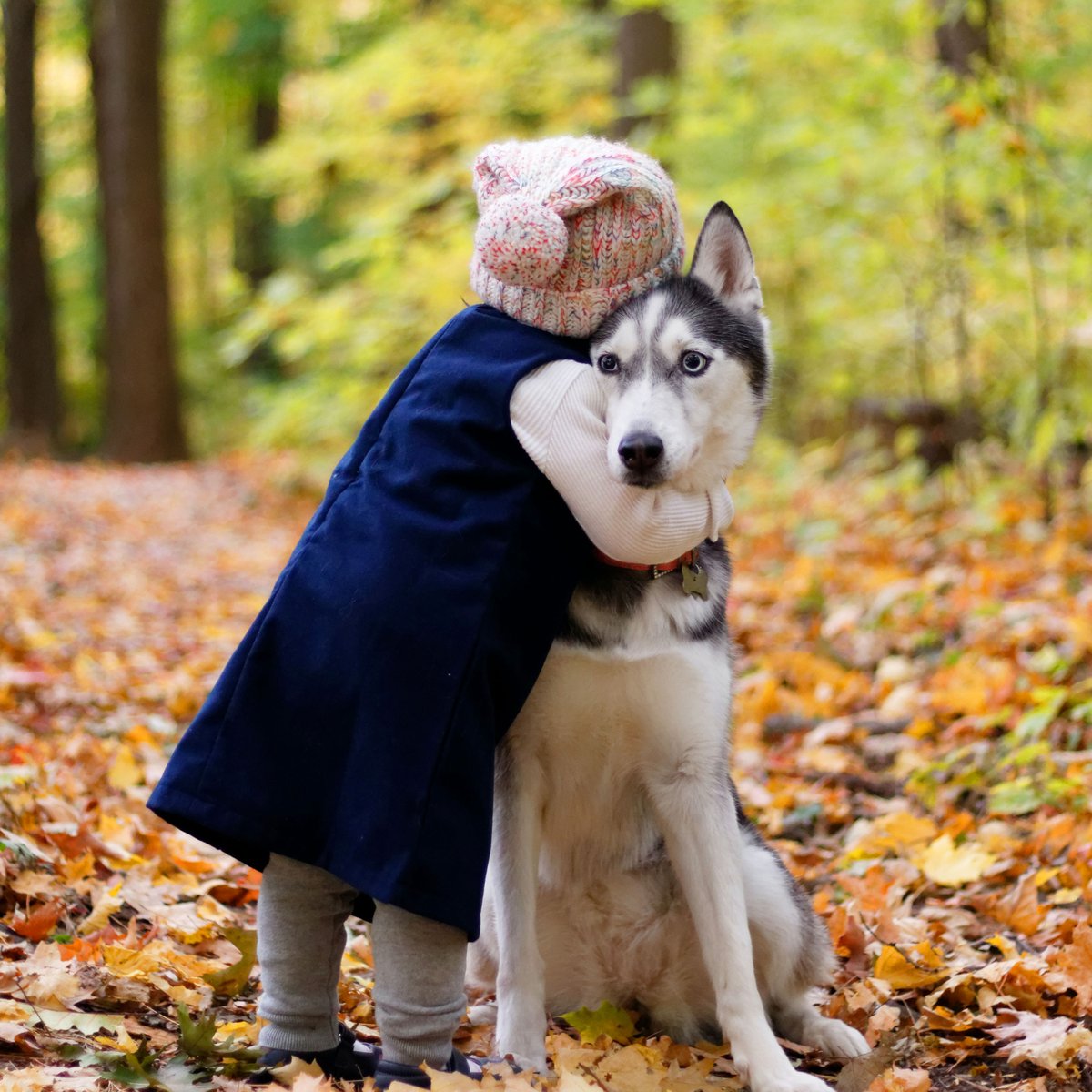 PSHmascotas's tweet photo. Buenos días! 😘 ¿Sabes como demostrar a tu mascota que le quieres?

- Hacer ejercicio físico juntos 🏃‍♂️
- Enséñale nuevos trucos 🐕
- El cepillado es esencial  👍
- Por supuesto, muéstrale afecto fisico. 💖

#psh #mascotas #perros #pet #animales #vegan #pshmascotas #dermocare https://t.co/TkzEQwGXwN