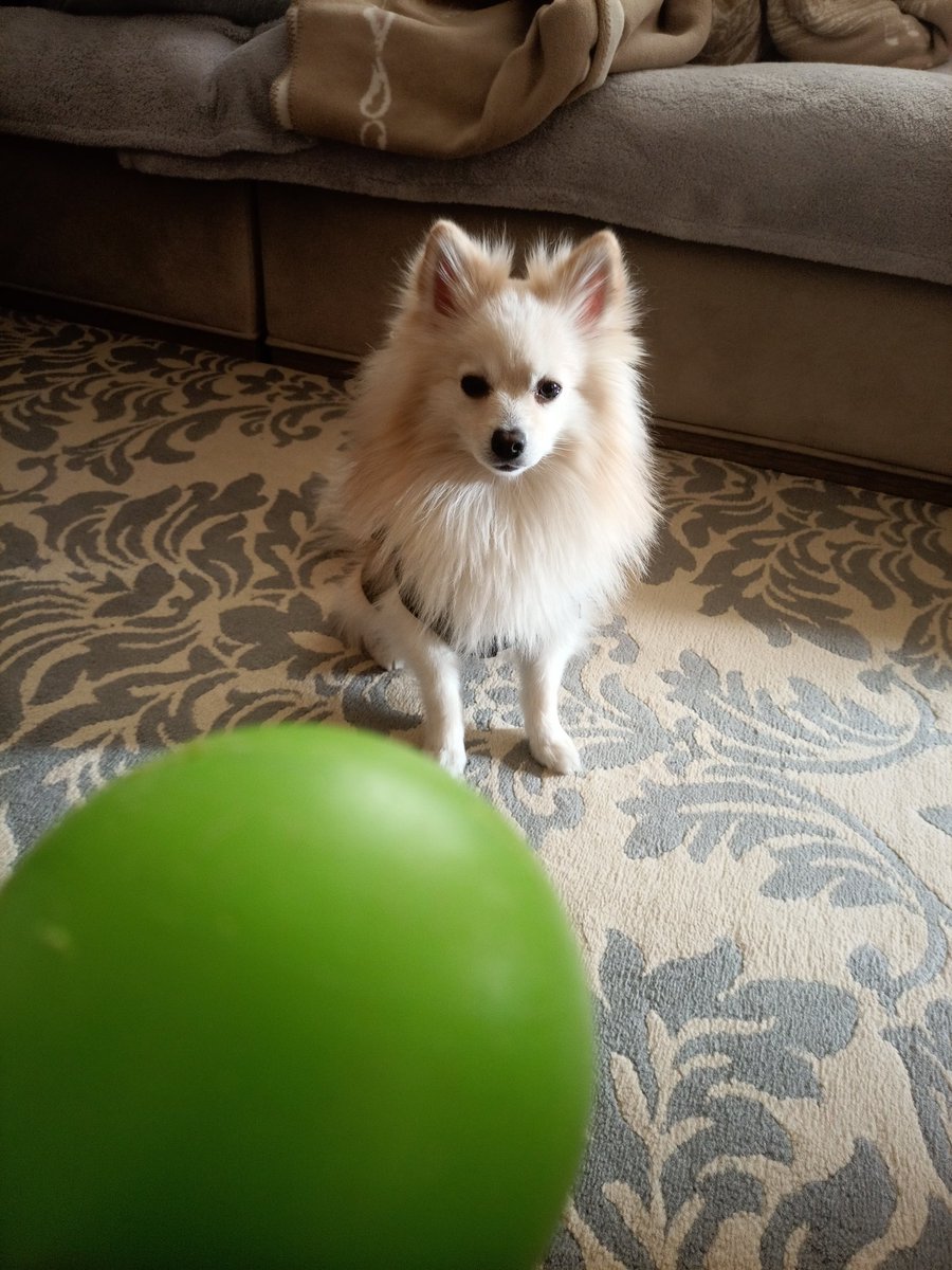 Bilin bakalım bugün kim yalanarak uyandırıldı?