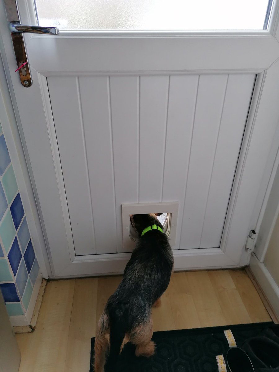 I'm finally running the Heaton Park Half Marathon this Sunday! If you would like to donate a little to my fundraiser for Alzheimer's Research, please do. I don't have an appropriate picture so here's one of my dog failing to get through the cat flap.
justgiving.com/fundraising/ge…