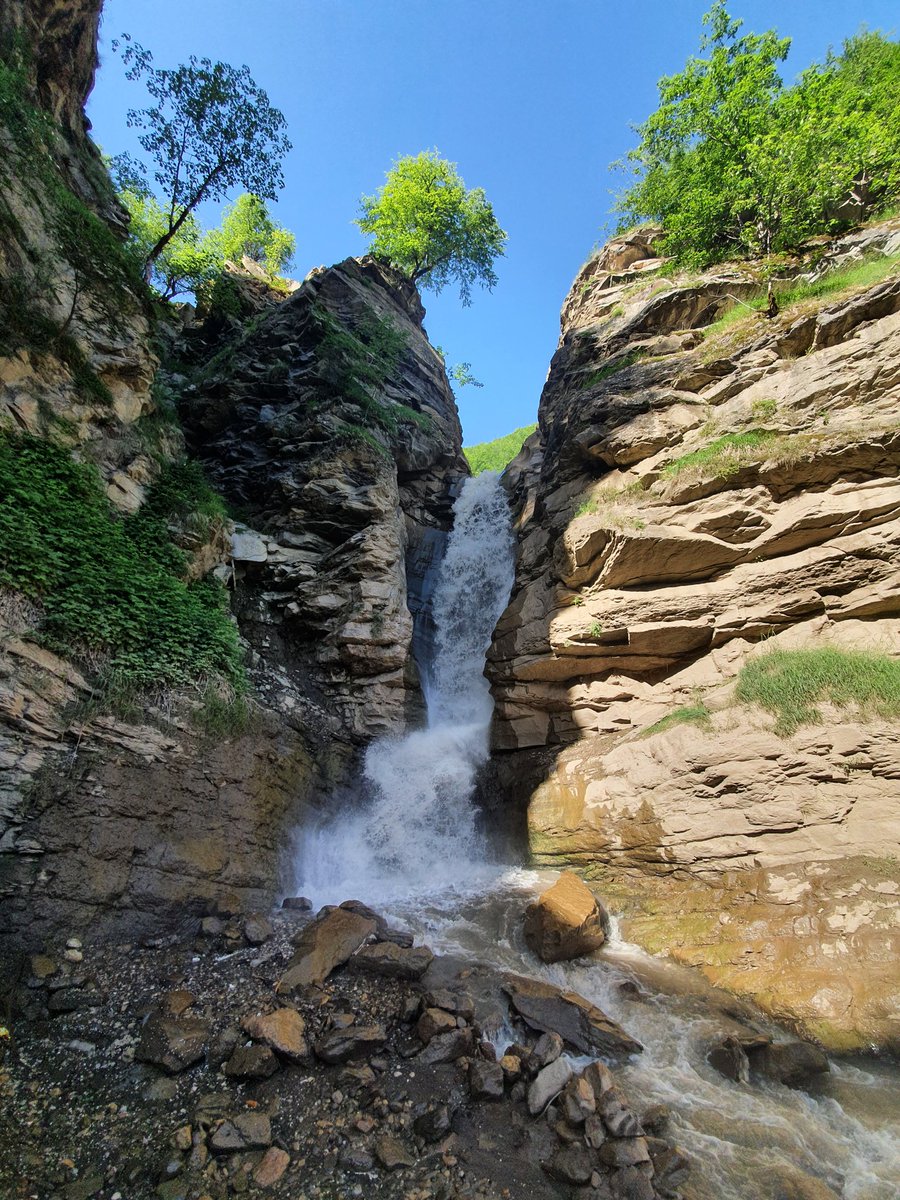 Gm frens❤
#NFTs #NFTCommunity #NFTartist #NFTCollection #NFTGiveaway