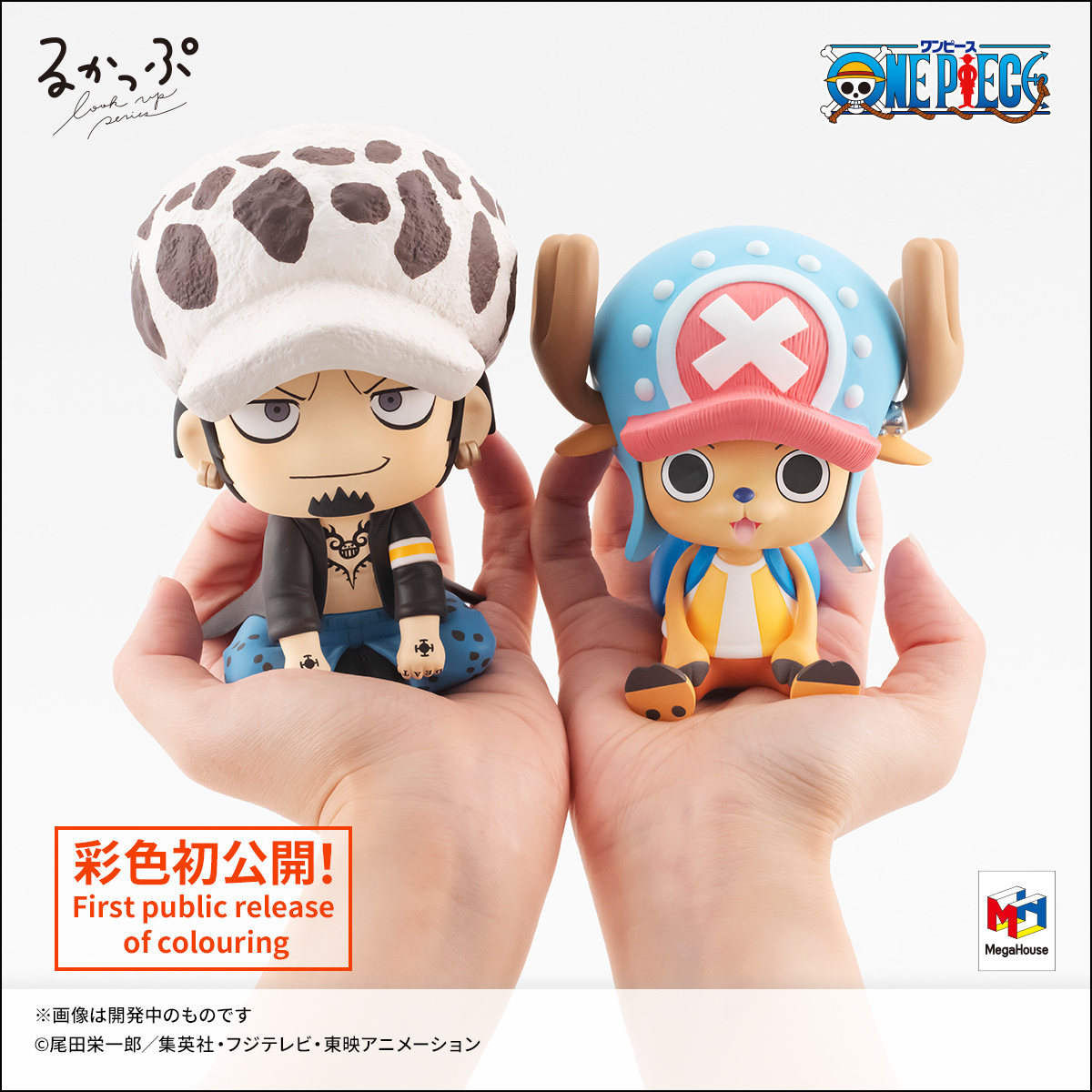 One Piece スタッフ 公式 Official Eiichiro Staff Twitter One Piece スタッフ 公式 Official Eiichiro Staff Twitter