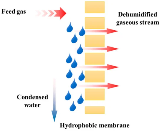 Membranes_MDPI's tweet photo. 👏New Publication in #Membranes
📌"Preparation of #ECTFE Porous Membrane for #Dehumidification of Gaseous Streams through Membrane #Condenser"
#membrane condenser
#hydrophobic membrane
#ECTFE membrane
#thermally induced phase separation
👉Read via https://t.co/S9smS3QMxF https://t.co/pxn8s7yIu6