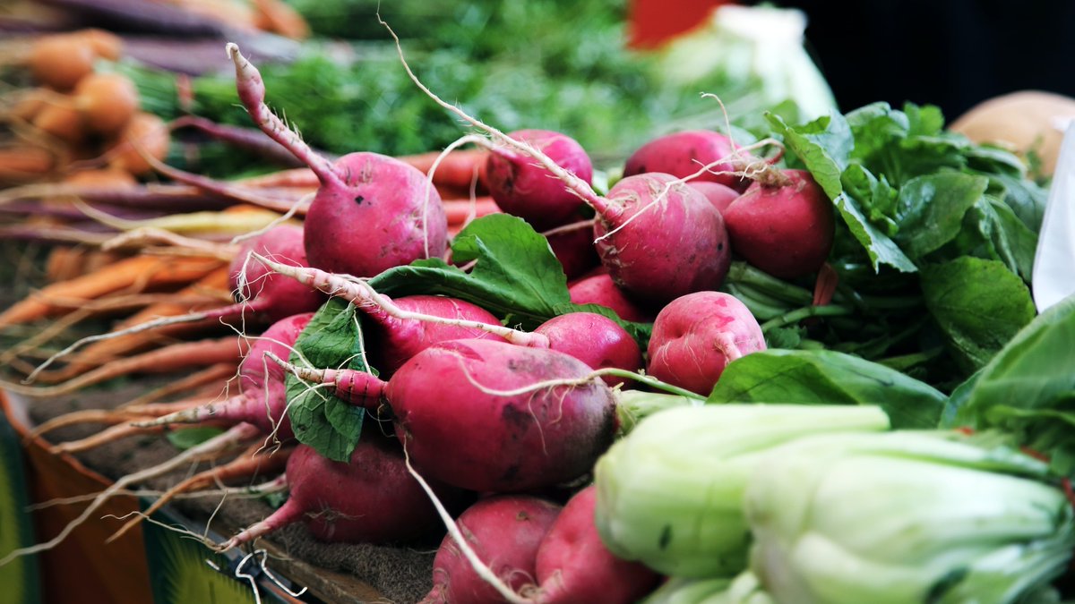 GuildfordBC's tweet photo. Our North Street Market is open today and tomorrow to buy fruit, veg, cheese and more from local producers.

👉 Fri: until 5.30pm
👉 Sat: 8.30am-5pm

All stalls follow social distancing guidelines and have hand sanitiser available.

#ShopLocal  
#KeepGuildfordSafe https://t.co/7bGj8cD0o3